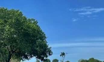 Imagem 4: Fazenda de 77 alqueires (373 hectares) em São Miguel do Araguaia - GO