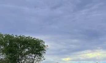 Imagem 5: Fazenda de 77 alqueires (373 hectares) em São Miguel do Araguaia - GO