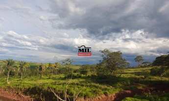 Imagem 5: Fazenda 80.57 Alqueires (390 Há) em São João da Aliança - GO