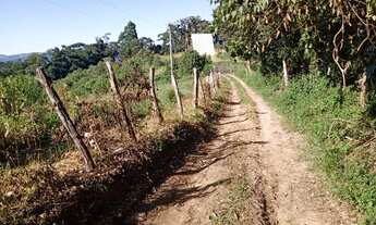 Imagem 4: Chácara em MG Chácara com venda por R$70.000