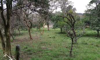 Imagem 7: Itaara - Chácara - Centro