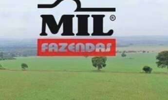 Imagem 5: 82 Alq. (397 Há). Terra Cultura c/ Soja e Pasto. 50 km de Goiânia