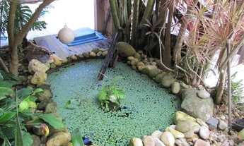 Imagem 5: Alugo apartamento anual