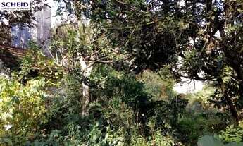 Imagem 5: Terreno comercial próximo ao cento, condução na porta