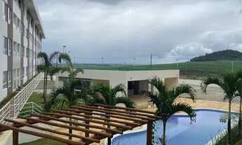 Imagem 5: Ipês - Reserva do Trapuá - Carpina - PE