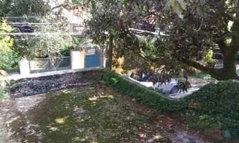 Imagem 6: CASA TÉRREA - SUMARÉ - SP