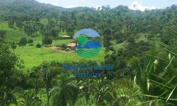 Imagem 2: Fazenda para criar gado com preço bom