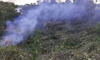 Imagem 4: Vendo excelente terreno em morro de São Paulo