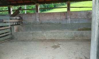 Imagem 4: Venda Fazenda Nossa Senhora Aparecida