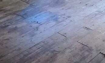 Imagem 4: Casa simples de madeira para alugar