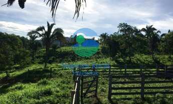 Imagem 6: Fazenda para criar gado com preço bom