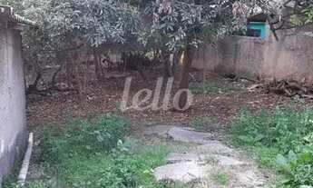 Imagem 2: São Paulo - Terreno Padrão - Vila Prudente