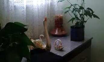 Imagem 7: OPORTUNIDADE Apartamento com 2 dormitórios