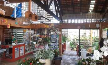 Imagem 7: PARAÍSO VERDE NO MOSQUEIRO