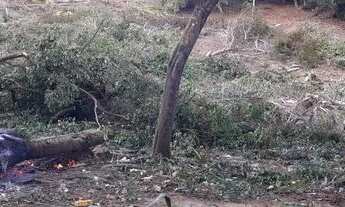 Imagem 3: Vendo excelente terreno em morro de São Paulo