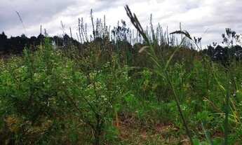 Imagem 6: 48ON-1TO2DU0 Terreno / lote com venda por R$60.000