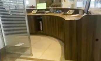 Imagem 5: Sem Caução - Flat Blue Tree - Adrianópolis