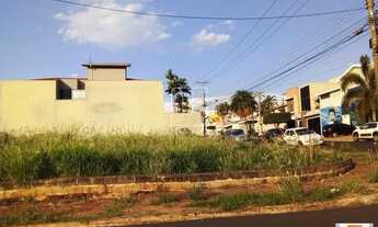 Imagem 4: Terreno (terreno normal