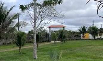 Imagem 2: Sítio Chácara com venda por R$440.000