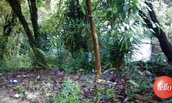 Imagem 3: São Paulo - Terreno Padrão - Tremembé