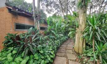 Imagem 7: São Paulo - Casa Comercial - Alto de Pinheiros