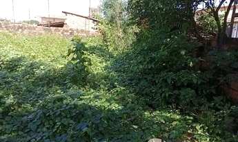 Imagem 4: Lote 10m x 25m Novo Cohatrac preço de oportunidade