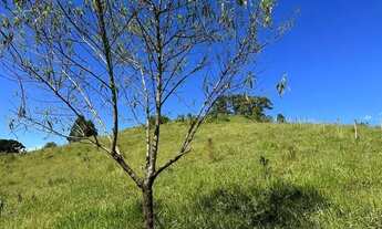 Imagem 5: Terreno 8.000 m2 Cambui-MG