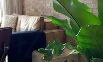 Imagem 6: APARTAMENRO FANTÁSTICO NO HOME CERAMICA 69 METROS - PORTEIRA FECHADA R$ 950.000,00