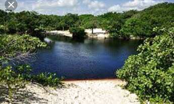 Imagem 5: Terreno na Ilha de Algodoal