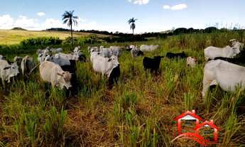 Imagem 5: Fazenda 132 Alqueires Passos-MG