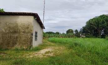 Imagem 5: Sítio 14,29 hectares com açaizal de 18 mil pés por R$300 mil