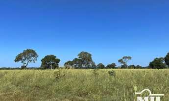Imagem 8: Fazenda de 179 alqueires (871 hectares) em São Miguel do Araguaia - GO