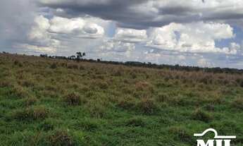 Imagem 2: Arrendamento Agrícola em Nova Crixas-GO (726 Há