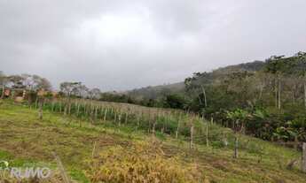 Imagem 4: Lindo sítio a venda em Rodeio, no Bairro Rio Morto