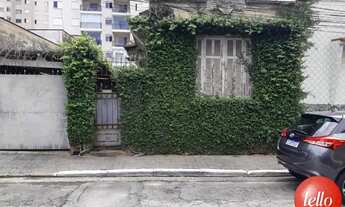 Imagem 7: São Paulo - Terreno Padrão - Tatuapé