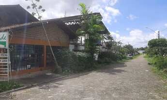 Imagem 2: PARAÍSO VERDE NO MOSQUEIRO