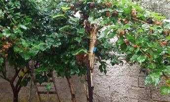 Imagem 3: Casa com 3 dormitórios à venda por R$ 403.000,00 - Parque São Luís - Taubaté/SP