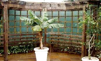 Imagem 7: Casa com 4 dormitórios à venda - Pernambuco - P - Guarujá/SP