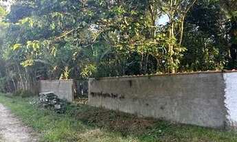 Imagem 5: Terreno de chácara 25x50 documentado