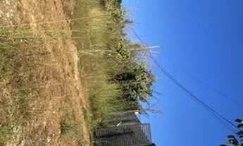 Imagem 3: Chácara incra 9