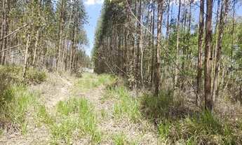 Imagem 3: Sítio em Rafard próximo do Pesqueiro Bresiane