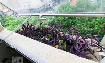 Imagem 6: Apartamento para Aluguel - Moema, 2 Quartos, 62 m2