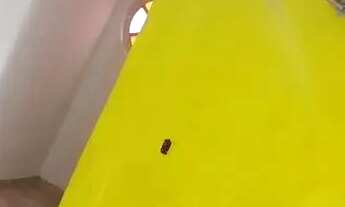 Imagem 2: Alugo casa no magarça