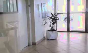 Imagem 4: Apartamento em Nonoai