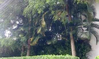 Imagem 4: Priscila Dultra 4/4 Lauro de Freitas- BA