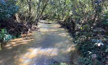 Imagem: Chácaras de 20 mil mt a venda 3km da cidade