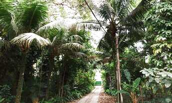 Imagem 2: Casa com 2 dormitórios para alugar, 48 m² - Campo Grande - Rio da Prata/RJ