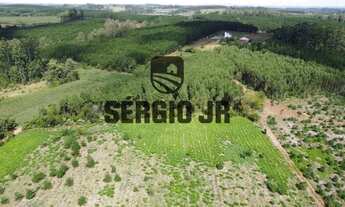 Imagem 5: Sítio com 7,9h, casa, cabana, galpão, piscina e arroio em Triunfo