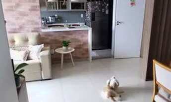 Imagem 3: Luminus Residence