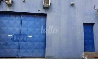 Imagem 2: São Paulo - Galpão/Depósito/Armazém - São Lucas